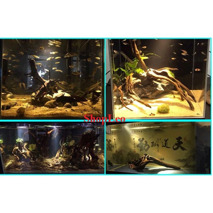 %C4%90%C3%88N%20LED%20SI%C3%8AU%20R%E1%BB%8CI%207W%20-%203%20CH%E1%BA%BE%20%C4%90%E1%BB%98%20M%C3%80U%20-%20%C4%90%C3%88N%20LED%20BIOTOP-%20%C4%91%C3%A8n%20r%E1%BB%8Di%20b%E1%BB%83%20c%C3%A1%20-%20biotop%20-%20ph%E1%BB%A5%20ki%E1%BB%87n%20th%E1%BB%A7y%20sinh%20-%20shopleo%20-%20Image%203