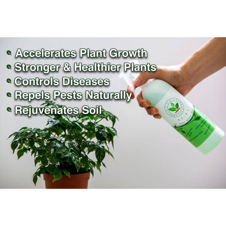 %5B2%20Bottles%5D%20BF-01%20Liquid%20Organic%20Fertilizer%E2%80%93All-in-one%20Plant%20/%20Gardening%20Solution%20(A%20product%20of%20Beyond%20Fertilizers%E1%B5%80%E1%B4%B9)%20-%20Image%203