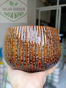 [FREESHIP] Chậu sứ MEN HỎA BIẾN hình Hạt Dẻ tăm - Nhiều màu - Solar Garden