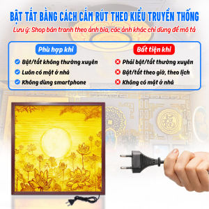 Hào Quang Hoa Sen In Tranh Trúc Chỉ Vuông Trang Trí Phòng Thờ Bàn Thờ Treo Tường TC-TV-50