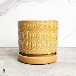 The Leaferie Madigan plant pots. Ceramic flowerpot . flowerpots . flower pot . planter . planters . Flowers