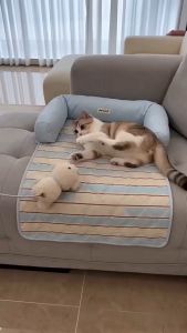AP AIMAYAPET Cool Touch Waterproof Pet Sofa Mat Anti Slip Stripe Cat Cooling Cushion Cat Bed Cushion with Guard Bolsters