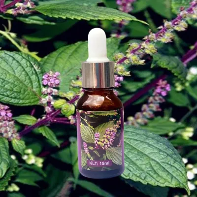 Tinh Dầu Thiên Nhiên Nguyên Chất Cao Cấp Chai 10ml Thơm Phòng Đuổi Côn Trùng Nhiều Hương Chọn Lựa