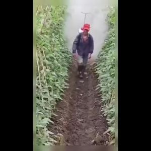 🔥Spot🔥Sprinkler head 喷头 高压雾化圆形喷头 电动喷雾器打药喷头 五孔环形喷头 不锈钢喷雾头 High pressure atomizing round sprayer Electric spray Five hole annular sprayer Stainless steel spray