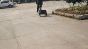 Foldable Detachable Bicycle Trailer Colorful Outdoor Travel CampingMountain Bike Trailer [ Free Shipping ]