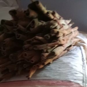 Kayu Manis Asli 1kg: Cara Menggunakan Rempah Berkualitas Tinggi