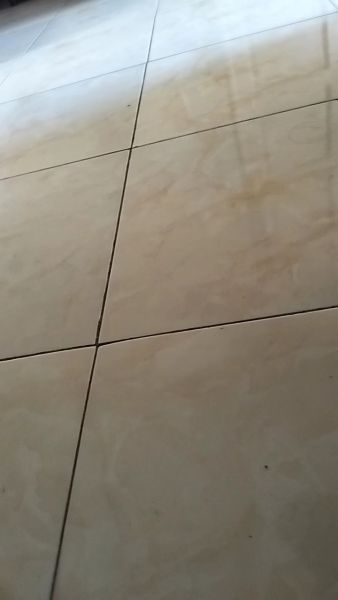 Buyer review video 2