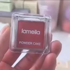 High-Pigment Blush Powder Palette: Waterproof Eyeshadow & Highlighter - Easy-Apply Compact with Matte Finish