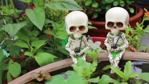 AU Halloween fishing skull resin sitting ghost head creating a spooky atmosphere perfect for home and indoor/outdoor decoration available now