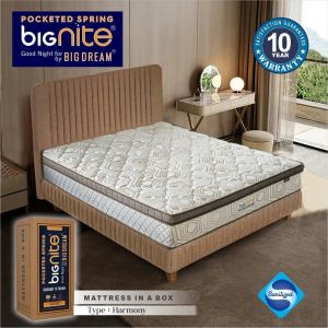 Bignite Matress In A Box by Bigdream