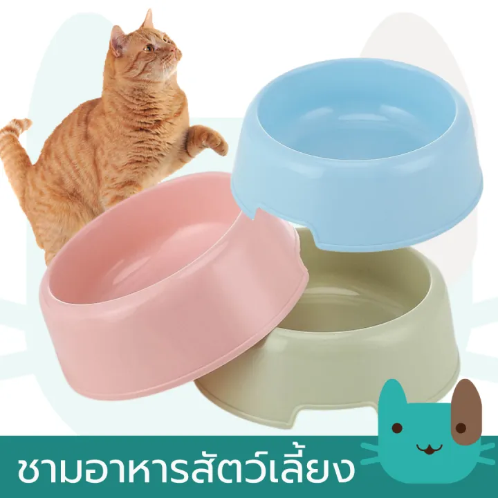 ชามอาหารพลาสติกสีพาสเทล สำหรับสัตว์เลี้ยง