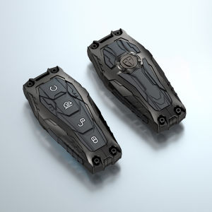 for BYD Key cover BYD Song plus New Energy Vehicle Qin PLUS  Seagull Armor Case