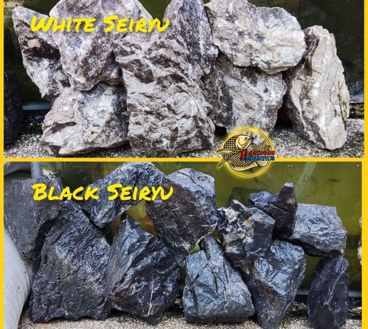 White/black Seiryu stone as low as P39 For Nano to Medium Size