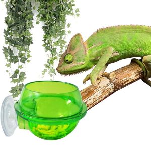 ER52858 Lizard Escape Proof Suction Cup Reptile Feeding Dish Worm Bowl Feeder Plate Food Container