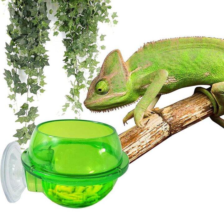 GGTU Gecko Ledge Accessories Escape Proof Food Container Reptile ...