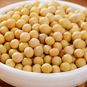 Red Sea Herbs 有机天然杂粮 500g | 红豆 黑豆 绿豆 黄豆 | 健康高蛋白 豆类养生食材 Organic Red Beans / Green Beans / Black Beans / Canadian Soybean Kacang 谷类 谷粮 Grains