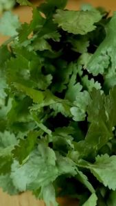 Coriander Seeds/ Colantro (500g 1kg) - Spices