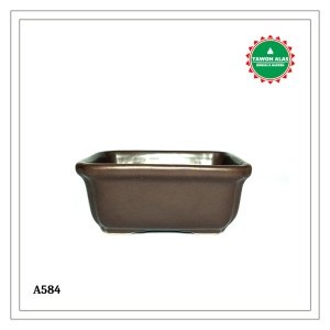 Pot Bonsai Keramik Mini