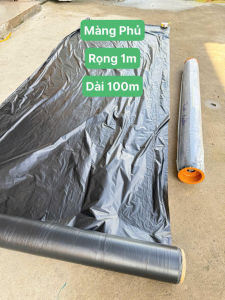 Màng Phủ ( Chiều dài 100m - Chiều rộng 1m ) Hỗ trợ thi công công trình và hỗ trợ trồng cây ươm cây giữ ẩm cho đất.