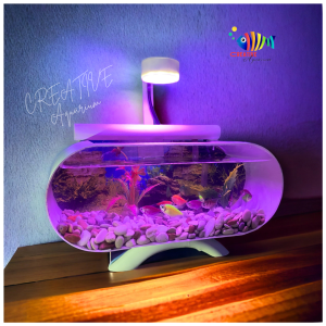 1 Set lengkap Aquarium Mini akrilik Lengkap Dengan mesin Oxygn Filter sirkulasi air mancur Plus Batu bunga Hias & Lampu LED tinggal pakai (B01)