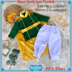 Carnaval Series | Kostum Prince Charming | Baju Cosplay Costume Karnaval Ulang Tahun Anak Laki Laki