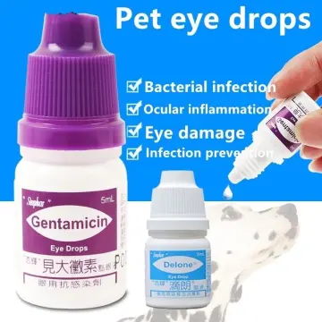 Shop Atropine Sulfate Eye Drops online Lazada .ph