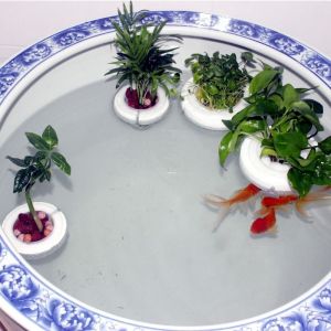 CUTE ELVES Suction Cup Floating Aquatic Plant Basket Plastic Root Protection Hydroponic Planting Basket Creative Round Plant Root Basket Aquarium