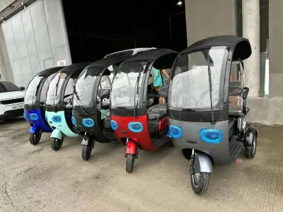 Electric Bike 3 Wheels Tricycles With Roof Electric Scooter/Rechargeable/EBike/Black/Blue/Light Blue/Red/Silver/EZBike