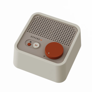 SYITREN N100 Retro Minimalist Design Bluetooth Speaker 2000 mAh Battery Type-C Charge AUX Input Support Bluetooth