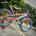 Garuda 866 Size 20 Kids Bike Gumwall Tire. 