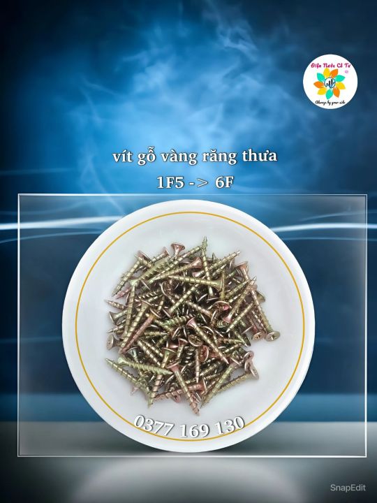 100 gram Vít bắt gỗ Vít đầu bằng bắn gỗ (vít loại 1)