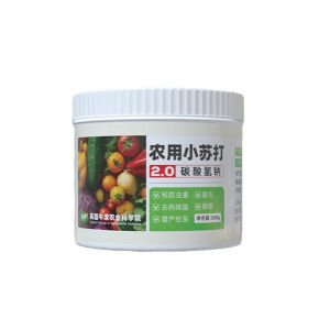 300g Fertilizer for Plant Sodium Bicarbonate Agricultural baking soda for Planting Good Quality