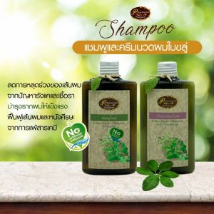 แชมพูใบขลู่ และ ครีมนวดใบขลู่  ช่วยรักษาอาการคันศรีษะเป็นตุ่มหนองหรือมีแผล หนังศรีษะลอก ลดการหลุดร่วงของเส้นผมและรังแค ขนาด 250 ML.
