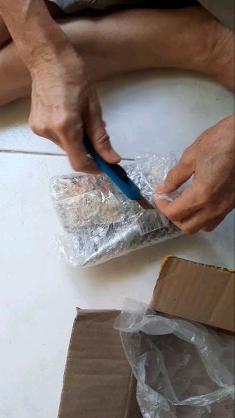 Buyer review video 6