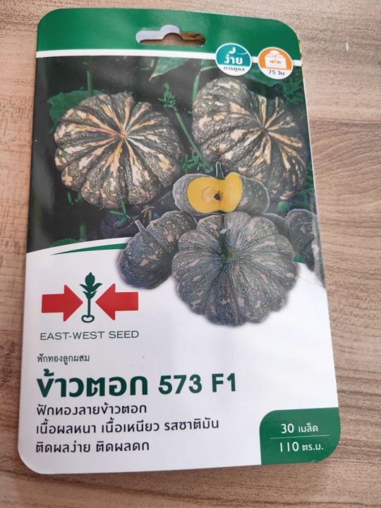 เมล็ดพันธุ์ฟักทอง ข้าวตอก 573 (25 เมล็ด) สำหรับสวนเล็ก รับประกันคุณภาพ