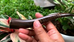 Pipa Roko Cangklong Kayu Kalimasada Barek & Kalimosodo