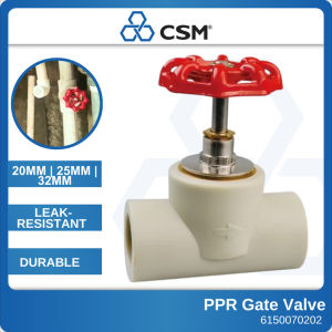 PPR Gate Valve 20mm 25mm 32mm Water Pipe Valve Stop Valve PPR Plumbing Fitting Heavy Duty