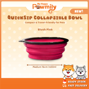 QuickSip Collapsible Bowl – Compact & Travel-Friendly for Pets