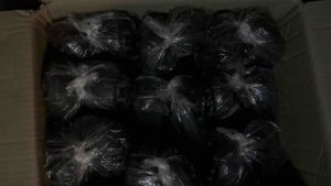 SALE 8.8 69฿ 🥾Make In Thailand🥾รองเท้าเดินป่า มีปุ่ม อย่างหนา