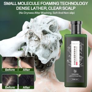 Herbal Botanical Shampoo Natural Botanical Shampoo Smooth Hair Dandruff Shampoo Oil Control Shampoo