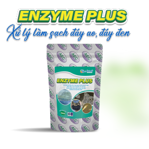 ENZYME PLUS - Xử lý làm sạch đáy ao đáy đen sình thối
