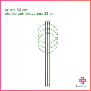 Missyou โครงเถาวัลย์ เสามะเขือเทศ โครงปลูก อุปกรณ์สำหรับพืชไม้เลื้อย 45cm 60cm plant trellis
