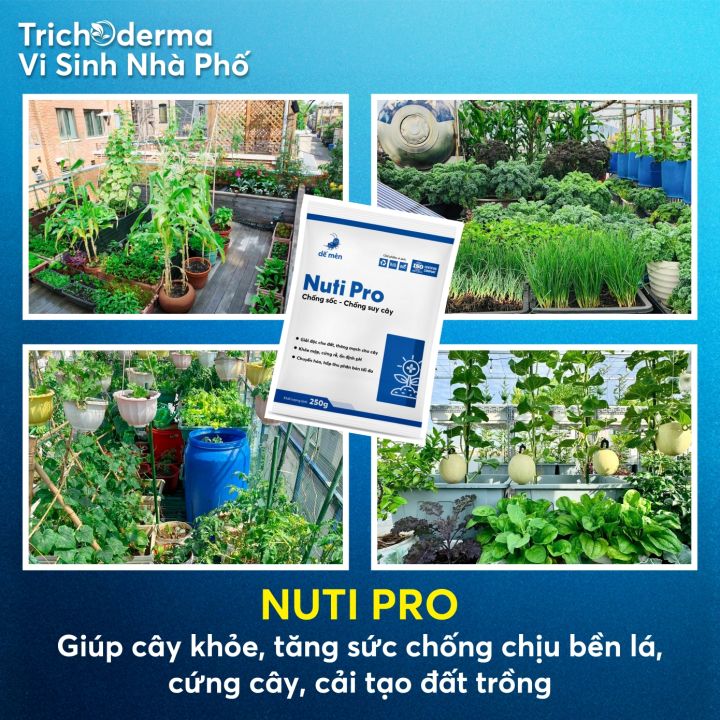 Nuti%20Pro%20D%E1%BA%BF%20M%C3%A8n%20%E2%80%93%20Ph%E1%BB%A5c%20h%E1%BB%93i%20c%C3%A2y,%20t%C4%83ng%20s%E1%BB%A9c%20%C4%91%E1%BB%81%20kh%C3%A1ng%20250g%20-%20Image%203