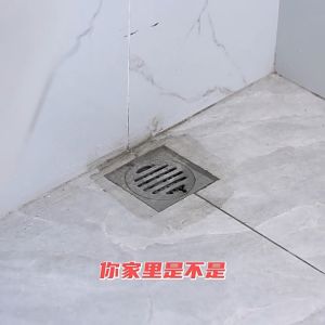 Laoguanjia Sewer Pipe insecticide Kill small flying insects toilet pipe anti-flying insects moth midges1000ML 老管家杀虫水乳剂