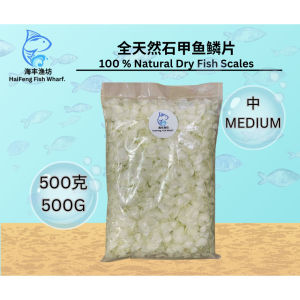 深海石甲鱼鳞片/鱼鳞片（中）/Dried Fish Scale（M）/Sisik Ikan Siakap /Collagen/ 500G