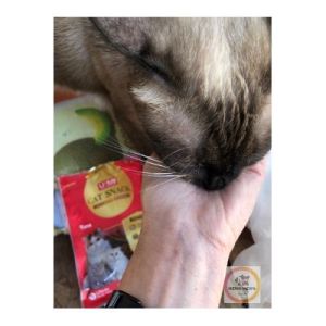 ขนมแมว U-mi ขนมแมวเส้น อาหารทานเล่นสําหรับแมว (4 ห่อ) กลิ่นหอมทานง่าย ผลิตจากวัตถุดิบคุณภาพ