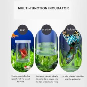 Bộ 3 Nổi Cá Breeder Hộp Bể Cá Vườn Ươm Buồng hộp cách ly Cho Betta Guppy Tôm Và Clownfish An Toàn
