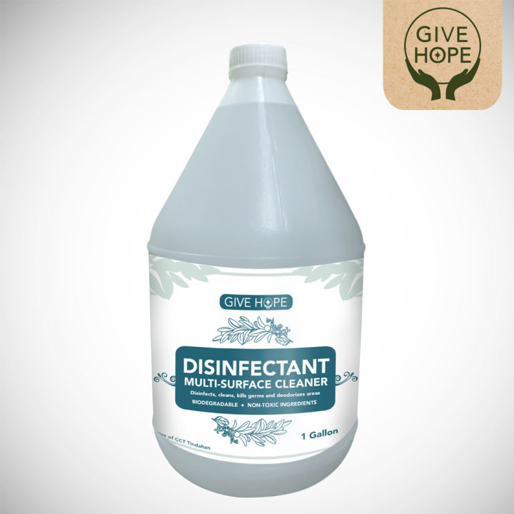 Disinfectant Lazada Ph