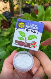 ผงเร่งราก 🌺 (ลูทตัน Rootton) แบบแบ่งขาย 3 กรัม ผงเร่งรากนำเข้าจากญี่ปุ่น เร่งราก แคคตัส กระบองเพชร ไม้อวบน้ำ homes