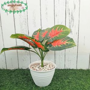 Tanaman Hias Artificial Daun Keladi Merah X9 Pot Tawon D12 Dekorasi Meja Pajangan Ruang Tamu